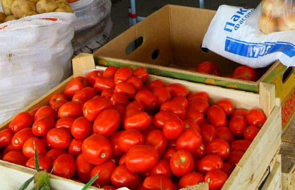 В Челябинскую область пытались завести зараженные помидоры и лимоны